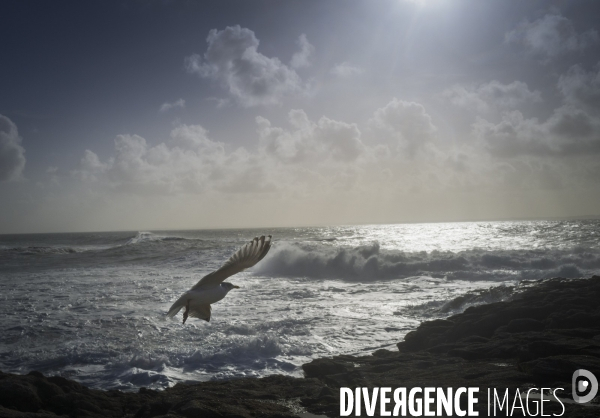 Bretagne Quiberon