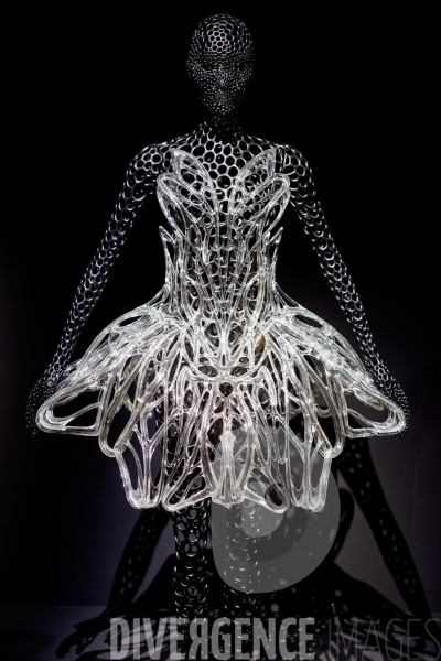 Iris Van Herpen / Sculpting the senses / musée des Arts décoratifs
