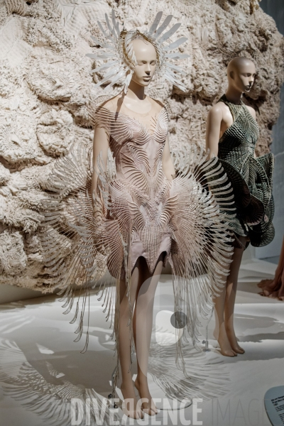 Iris Van Herpen / Sculpting the senses / musée des Arts décoratifs