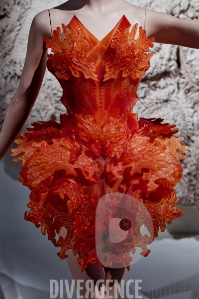 Iris Van Herpen / Sculpting the senses / musée des Arts décoratifs