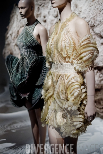 Iris Van Herpen / Sculpting the senses / musée des Arts décoratifs