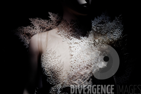 Iris Van Herpen / Sculpting the senses / musée des Arts décoratifs