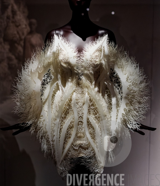 Iris Van Herpen / Sculpting the senses / musée des Arts décoratifs