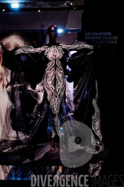 Iris Van Herpen / Sculpting the senses / musée des Arts décoratifs