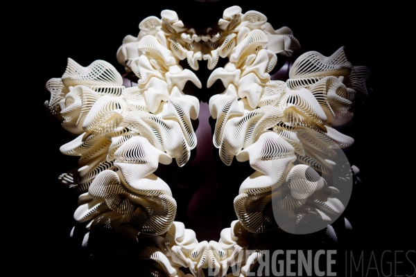 Iris Van Herpen / Sculpting the senses / musée des Arts décoratifs