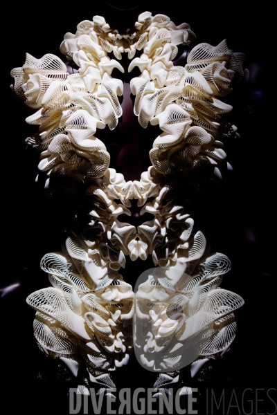 Iris Van Herpen / Sculpting the senses / musée des Arts décoratifs