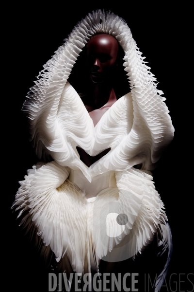 Iris Van Herpen / Sculpting the senses / musée des Arts décoratifs