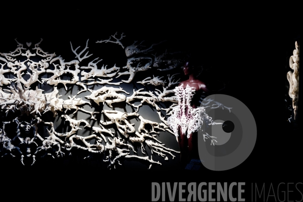 Iris Van Herpen / Sculpting the senses / musée des Arts décoratifs