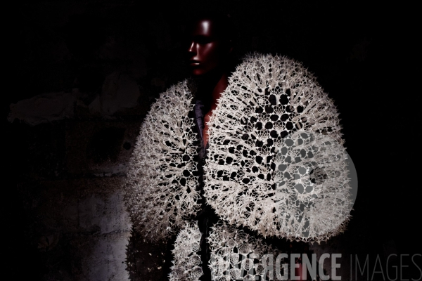 Iris Van Herpen / Sculpting the senses / musée des Arts décoratifs