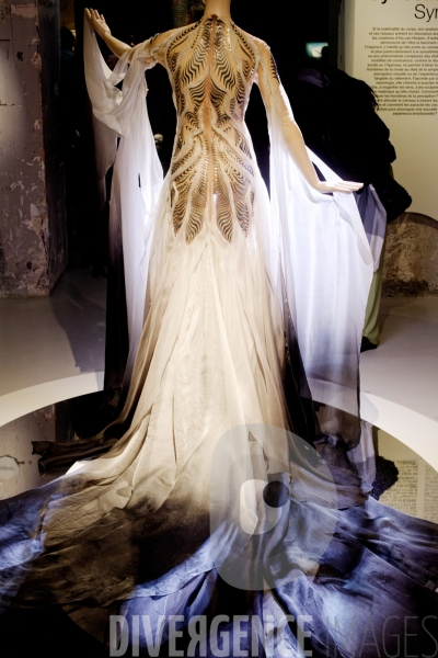 Iris Van Herpen / Sculpting the senses / musée des Arts décoratifs