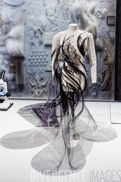 Iris Van Herpen / Sculpting the senses / musée des Arts décoratifs