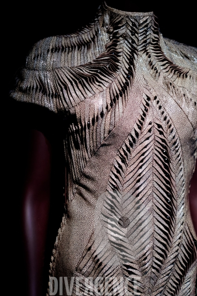 Iris Van Herpen / Sculpting the senses / musée des Arts décoratifs