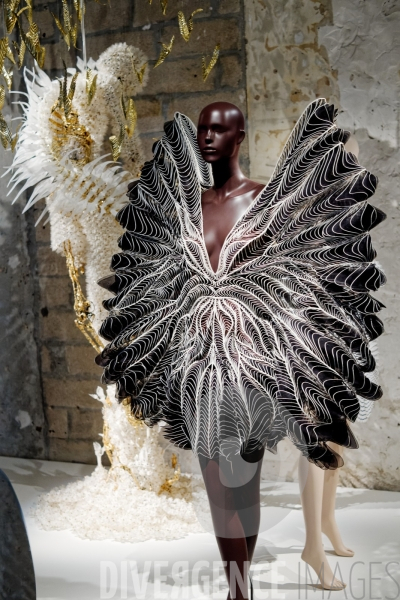 Iris Van Herpen / Sculpting the senses / musée des Arts décoratifs