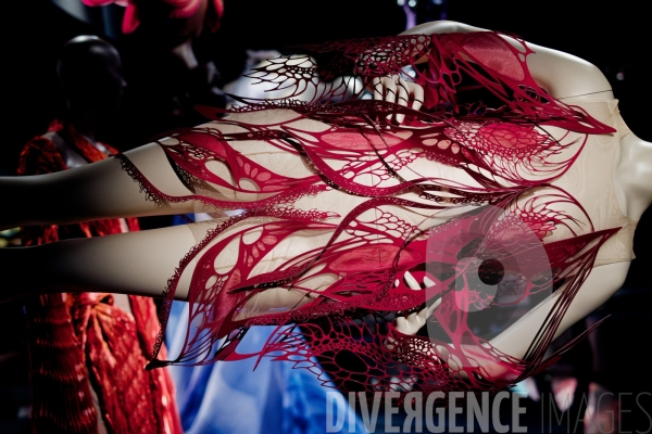 Iris Van Herpen / Sculpting the senses / musée des Arts décoratifs