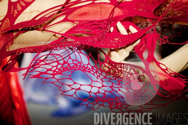 Iris Van Herpen / Sculpting the senses / musée des Arts décoratifs