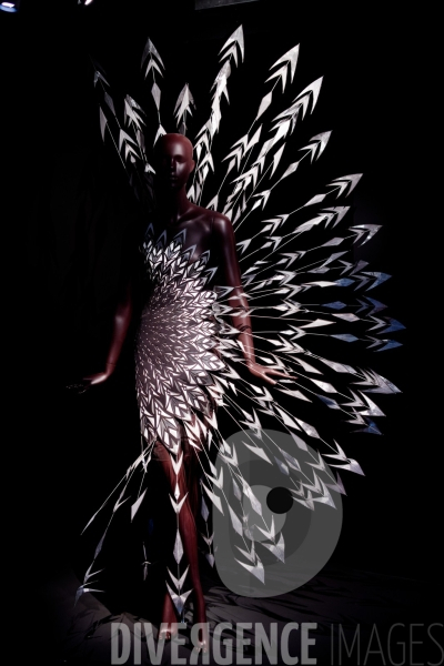 Iris Van Herpen / Sculpting the senses / musée des Arts décoratifs