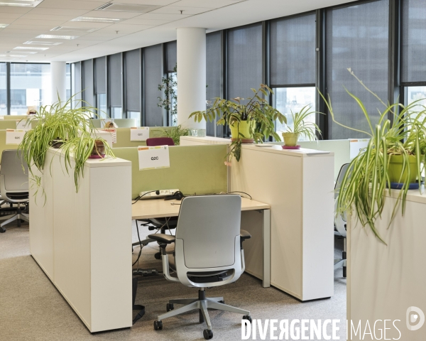 Siege social IBM france, travail en open space et flex office