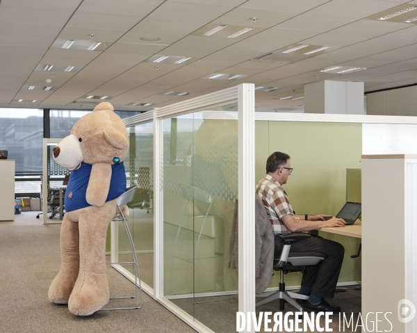 Siege social IBM france, travail en open space et flex office