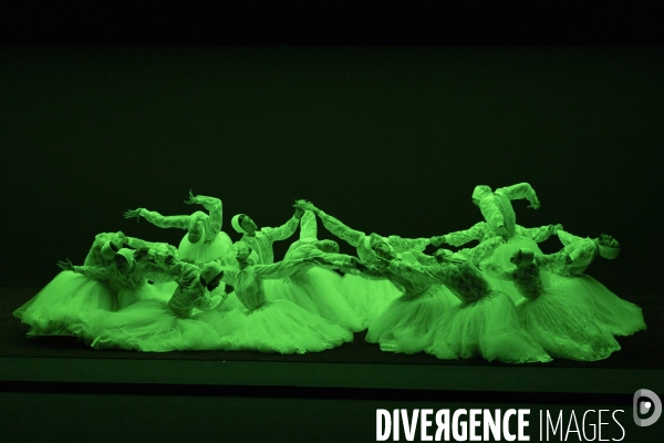 LA BELLE AU BOIS DORMANT - Marcos Morau - Ballet de l’Opéra de Lyon