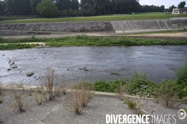 Passe à poisson