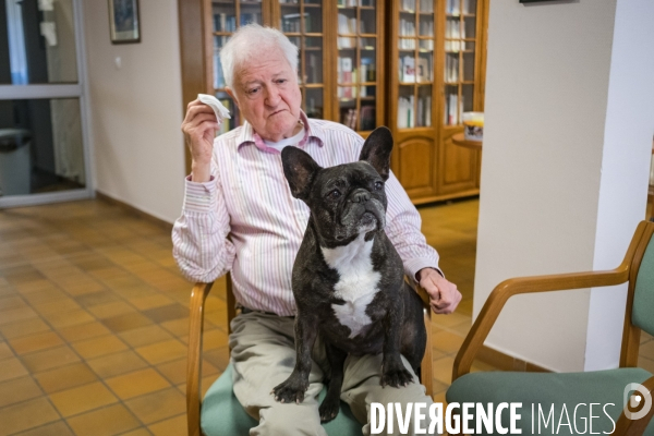 Mediation animale en maison de retraite