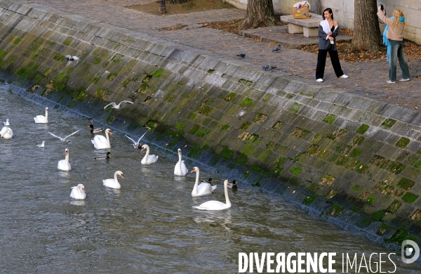 Les photos du mois de decembre 2023