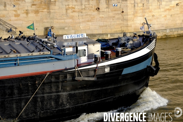 Les photos du mois de decembre 2023