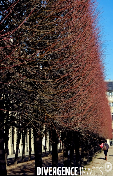 Les photos du mois de decembre 2023