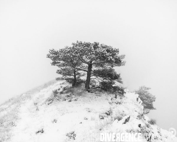 Mon Hiver à l envers # 012