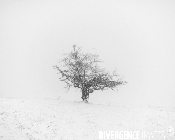 Mon Hiver à l envers # 012