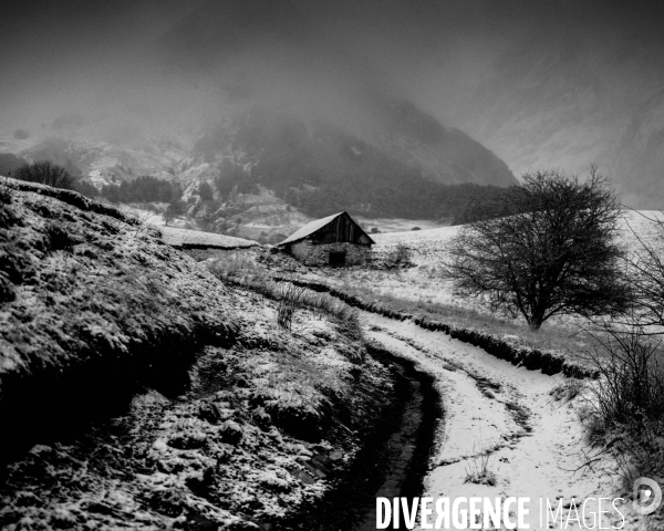 Mon Hiver à l envers # 012