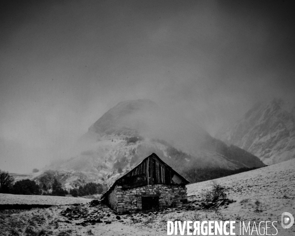 Mon Hiver à l envers # 012