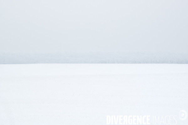 Gelees hivernales - winter frosts