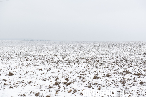 Gelees hivernales - winter frosts