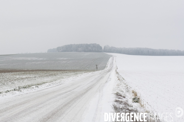 Gelees hivernales - winter frosts