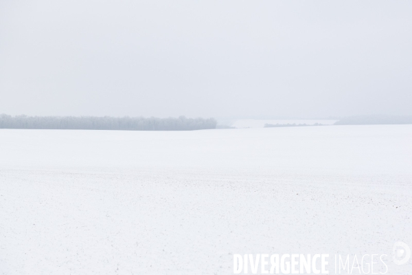 Gelees hivernales - winter frosts
