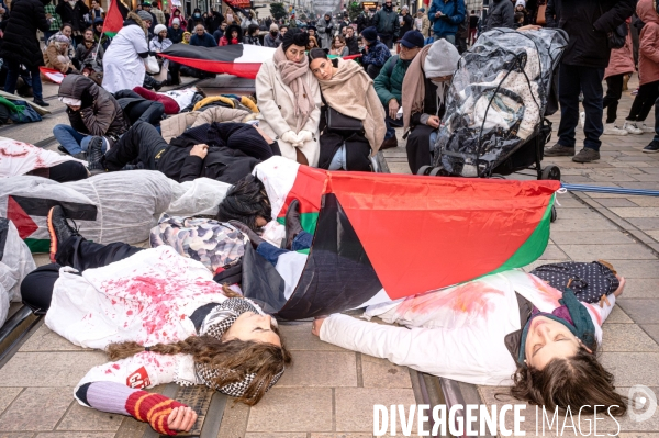 Manifestation en soutien au peuple Palestinien pour un cessez-le-feu à Gaza à Tours le 13.01.24