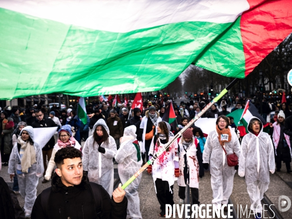 Manifestation en soutien au peuple Palestinien pour un cessez-le-feu à Gaza à Tours le 13.01.24