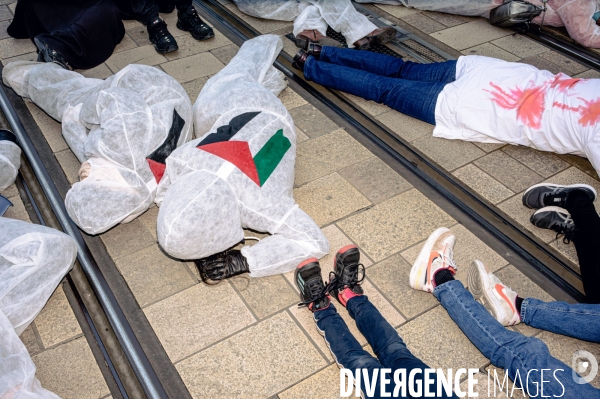 Manifestation en soutien au peuple Palestinien pour un cessez-le-feu à Gaza à Tours le 13.01.24
