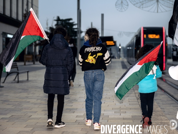 Manifestation en soutien au peuple Palestinien pour un cessez-le-feu à Gaza à Tours le 13.01.24