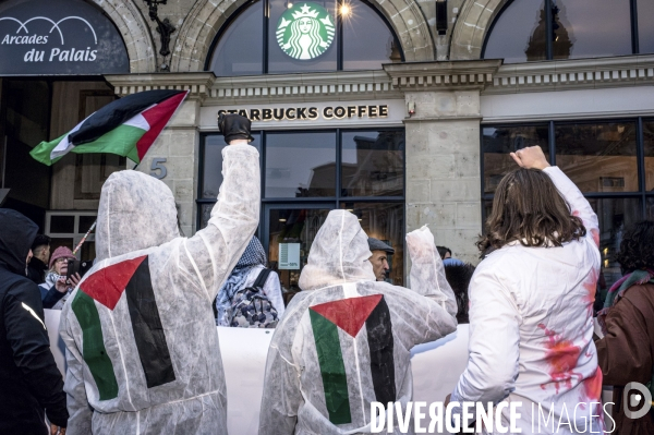 Manifestation en soutien au peuple Palestinien pour un cessez-le-feu à Gaza à Tours le 13.01.24