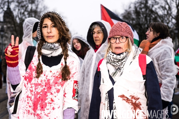 Manifestation en soutien au peuple Palestinien pour un cessez-le-feu à Gaza à Tours le 13.01.24