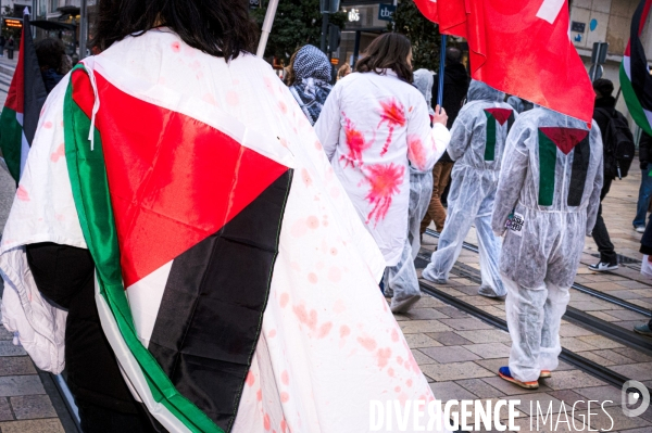 Manifestation en soutien au peuple Palestinien pour un cessez-le-feu à Gaza à Tours le 13.01.24