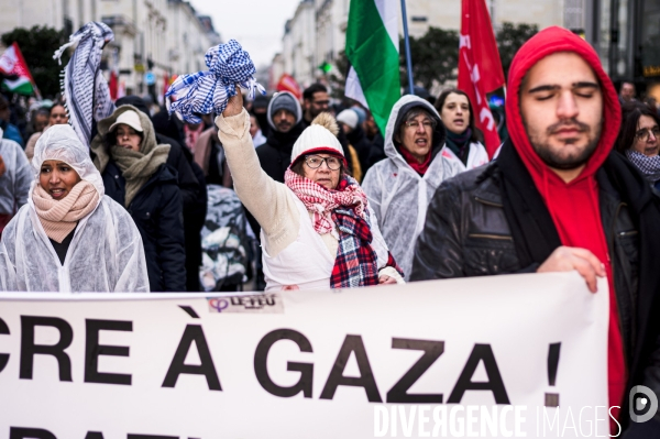 Manifestation en soutien au peuple Palestinien pour un cessez-le-feu à Gaza à Tours le 13.01.24