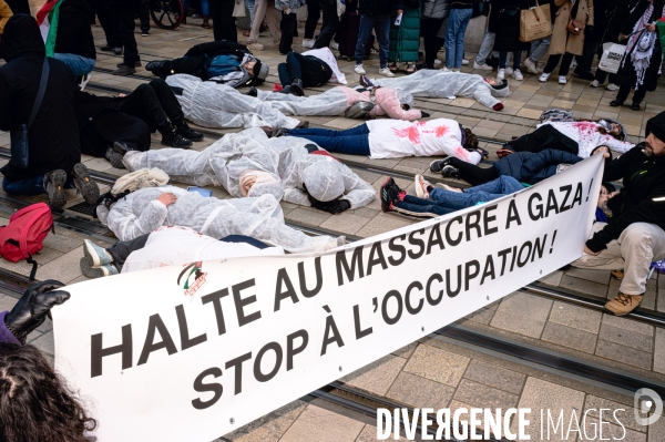 Manifestation en soutien au peuple Palestinien pour un cessez-le-feu à Gaza à Tours le 13.01.24