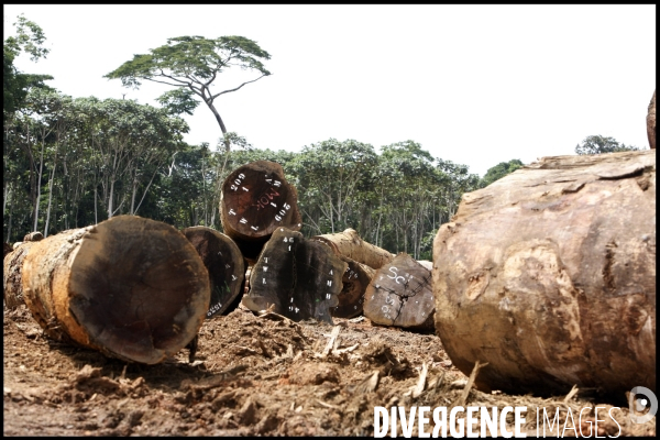 Gabon: la presence chinoise s accentue
