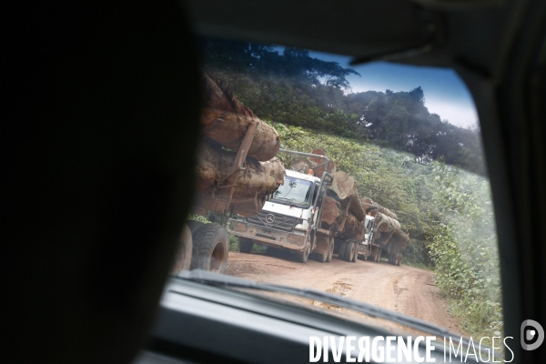 Gabon: la presence chinoise s accentue