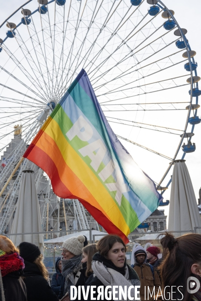 Manifestation contre la loi immigration - Lille