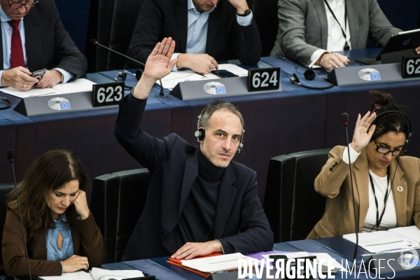 Raphaël Glucksmannau parlement européen