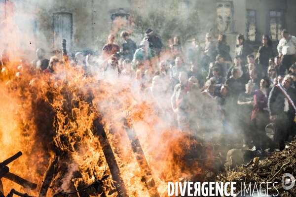 Agriculteurs en Colere - Montpellier, 26.01.2024